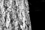n8cache-3781-2009-06-26.jpg