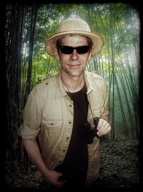 Into the Jungle